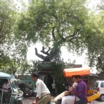 City Faith – Laddu Shah’s Dargah, GB Road