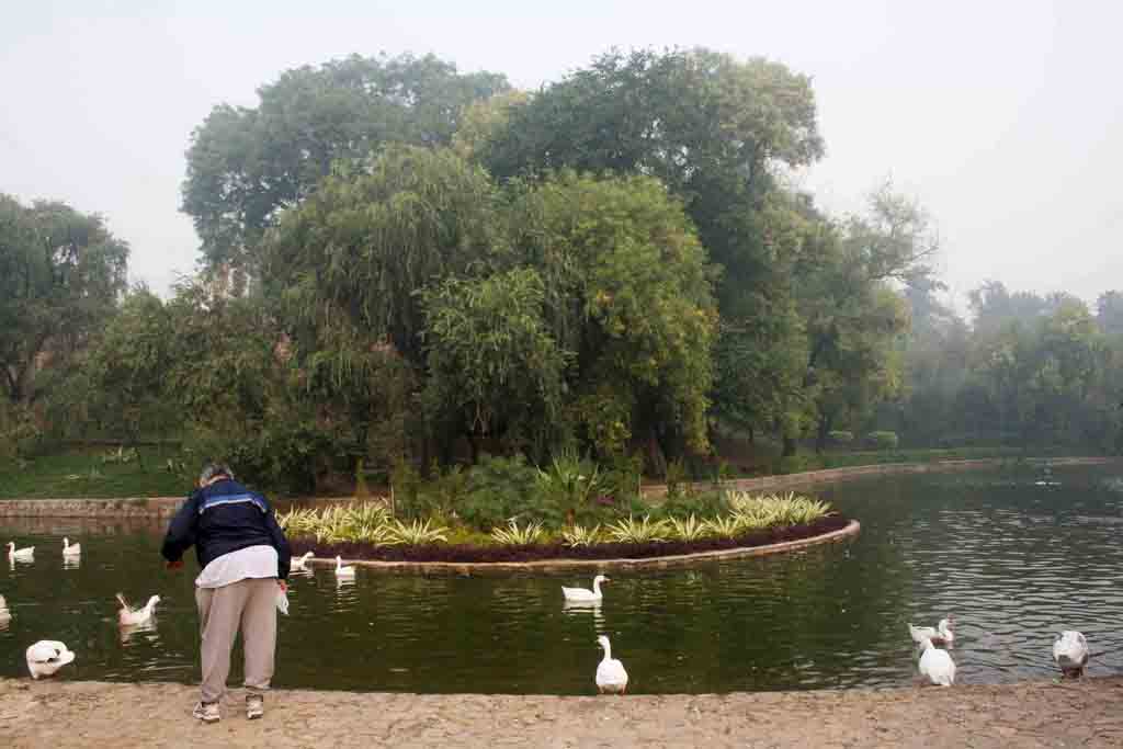 City List – Resident Birds, Lodhi Garden