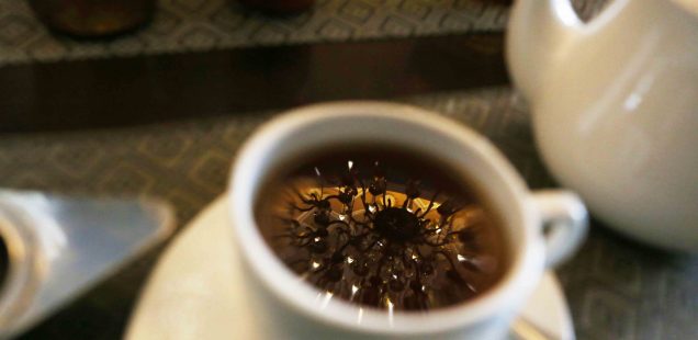 City Food - Chandelier Tea, United Coffee House