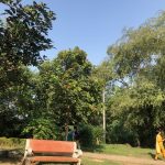City Hangout - The Heart-Break Destination, Buddha Gardens