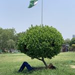 City Hangout - Plant's Shade, Palika Bazaar Park