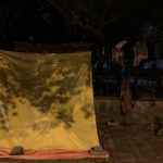 Home Sweet Home – House of Shadows, Lodhi Road