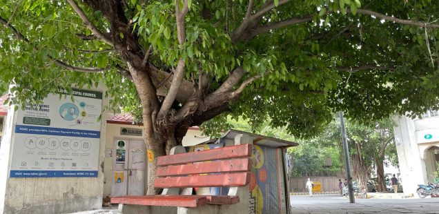 City Hangout - Bench by the Tree, Shivaji Bus Terminus