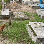City Hangout - Indian Christian Cemetery, Paharganj