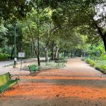 City Hangout - Sunset Bench, Lodhi Gardens