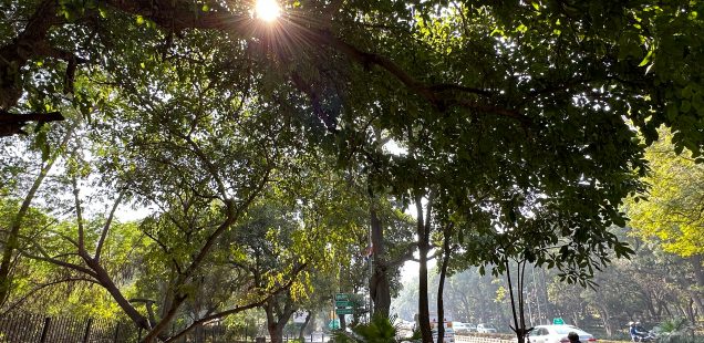 City Walk - Niti Marg, Central Delhi