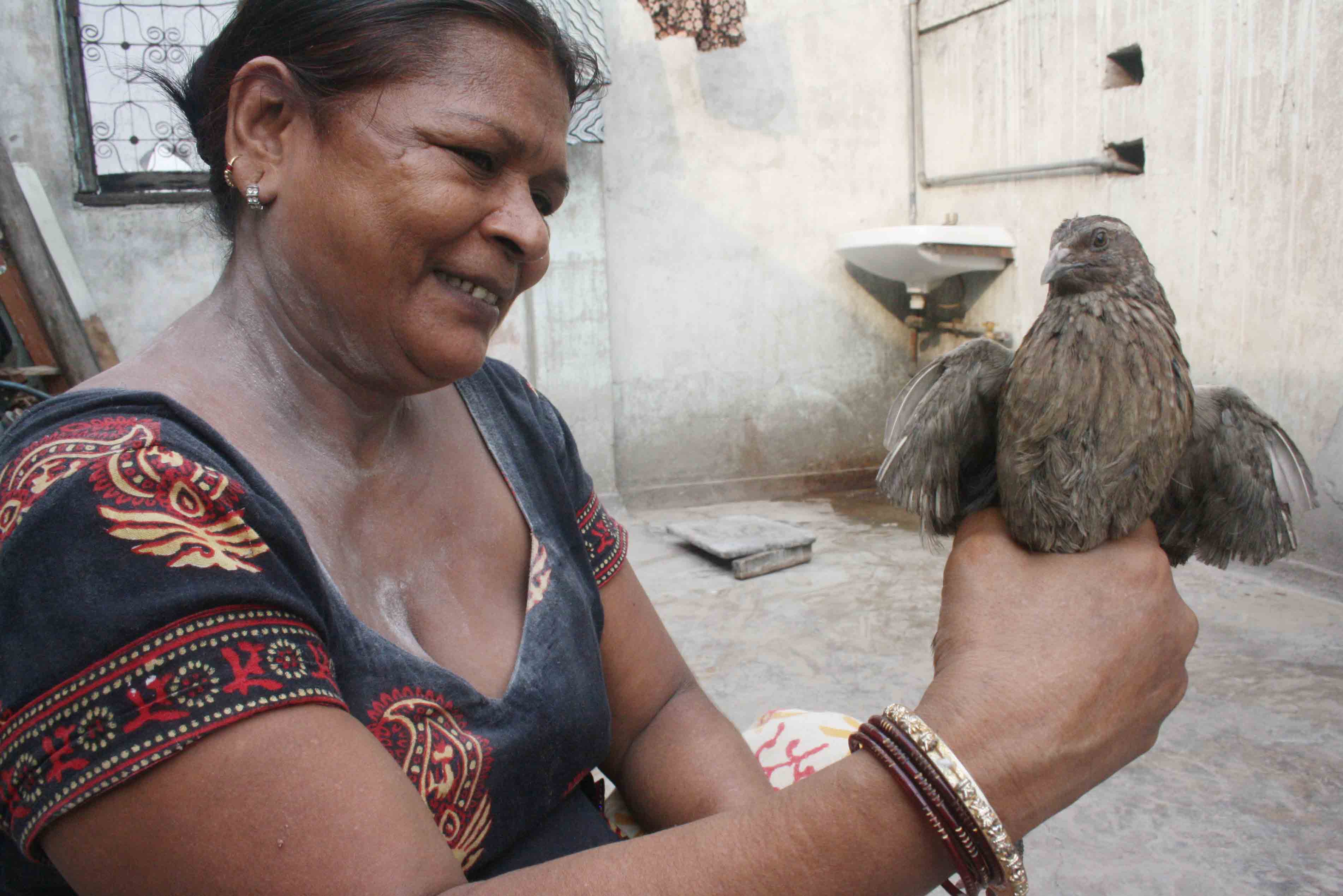 City Moment – A Bird on Death Row, Farash Khana