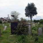 Kashmir Diary - Martyr’s Graveyard, Srinagar