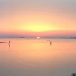 Letter from Venice - What the Morning Commuter Sees, Lido