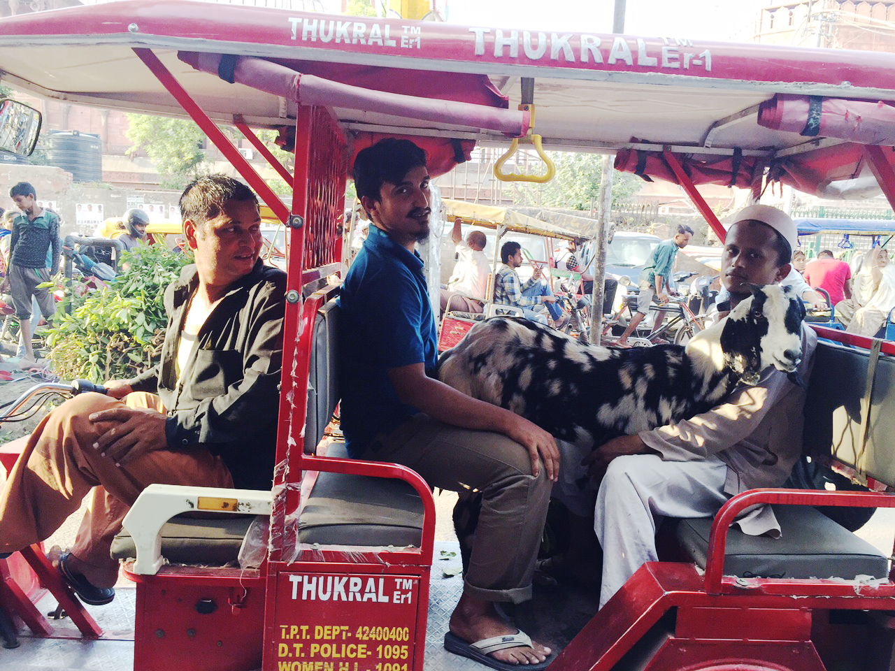 City Faith - The Ballad for the Eid Goats, Old Delhi