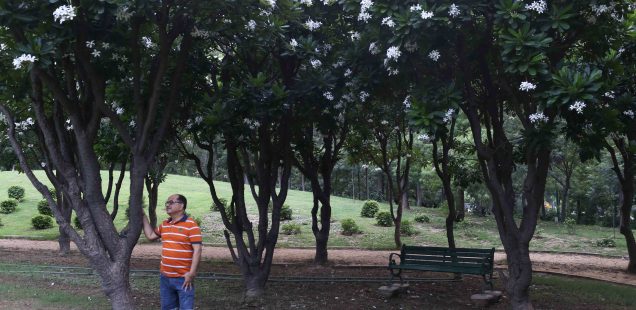 City Hangout - The World's Best Garden Bench, Nehru Park