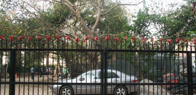 City Moment – Semal Flowers, Jeevan Prakash Building
