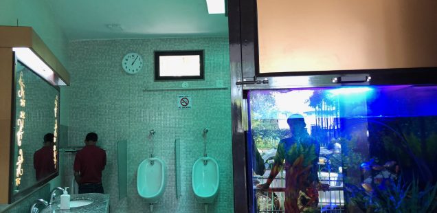 City Life - A Fishy Washroom, Connaught Place