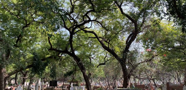 City Hangout - Dilli Gate Graveyard, Near ITO