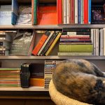 City Hangout - Best English Language Poetry Shelf, The Book Shop, Jor Bagh Market