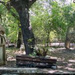 City Hangout - Shidipura Graveyard, Near Filmistan Cinema