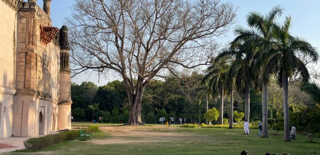 City Season - Leafless Tree, Lodhi Garden