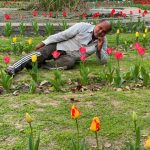 City Hangout - Tulip Garden, Lodhi Gardens