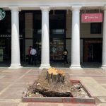 City Landmark - Lost Banyan Tree, Connaught Place